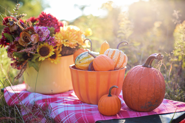 Celebrate Fall
